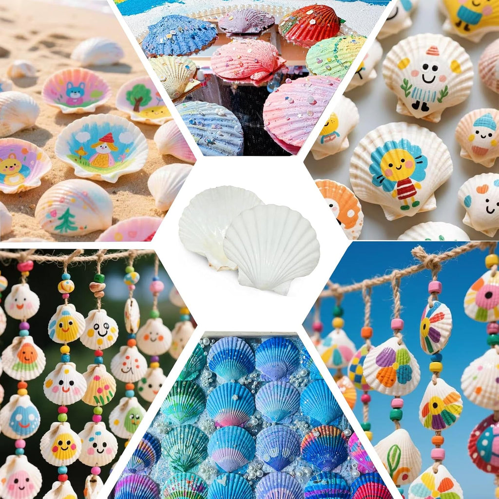 30PCS Natural Scallop Shells 2.3''-3'' White Sea Shells for DIY Craft Making, Hand Painting, Ocean Themed Party and Home Décor