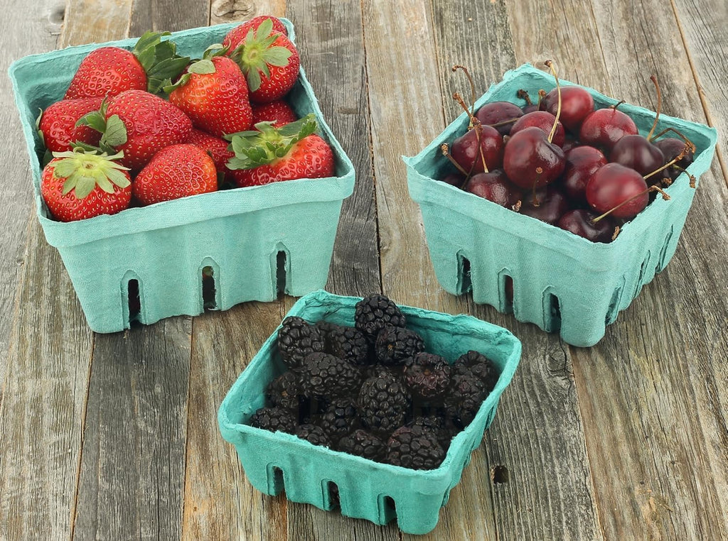 MT Products Green Berry Basket 1 Quart - Molded Pulp Fiber Vented Produce Basket (Pack of 297) - Made in the USA