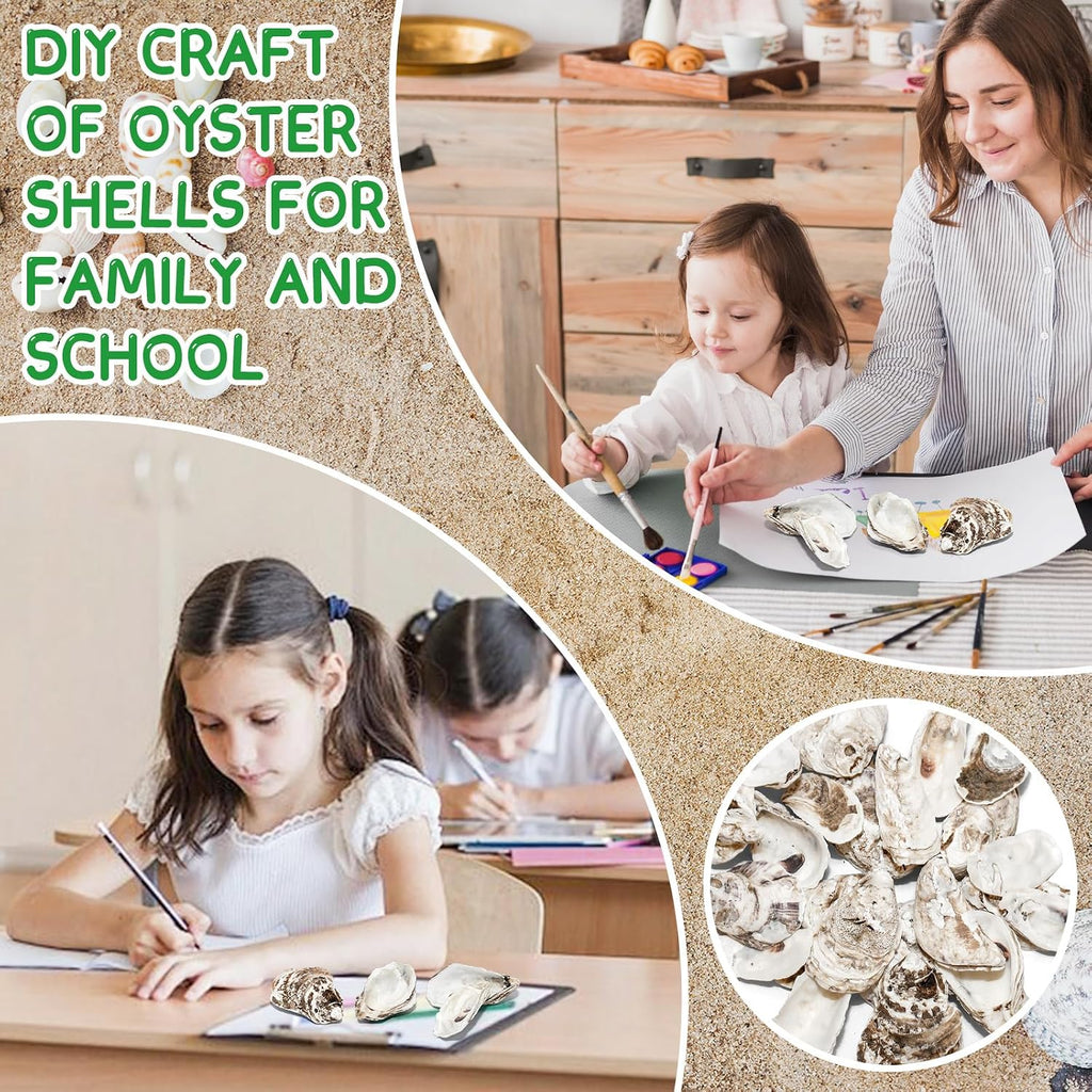 30PCS Oyster Shells for Crafts,Lncluding 25PCS Concave & 5PCS Flat,3"-4" Natural Medium Oyster Shells Bulk,for Home Vase Filler, Xmas Ornaments, DIY Arts and Crafts Sea Shells,Gift 50 Stickers