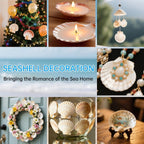 20PCS Large Scallop Shells for Crafts, 4-5 Inch Natural Sea Shells for Decorating, White Seashells Bulk for DIY Crafting, Painting, Baking, Ocean Themed Party Supplies & Decorations