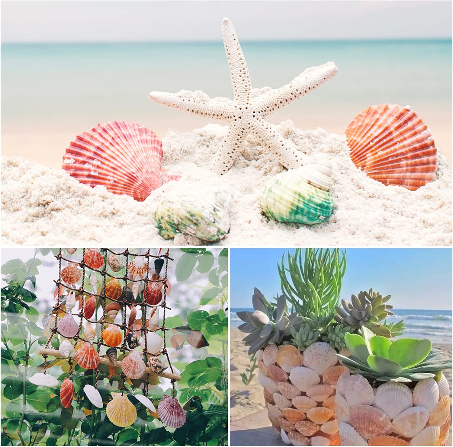 LUCKY BABY 50 PCS Natural Scallop Seashells for Crafts, 2"-3" Bulk Shells for DIY Art, Resin Projects, Candle Soap Jewelry Making, Beach Wedding Decor, Coastal Home Decoration, Nautical Party Supplies