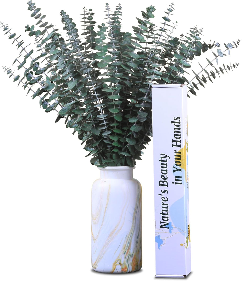 30Pcs Dried Eucalyptus Stems, 17" Real Preserved Eucalyptus Plant for Shower, Fresh Natural Branches for Vase, Eucalyptus Bundle for Home Decor, Wedding, Baby Shower, Bathroom