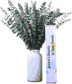 30Pcs Dried Eucalyptus Stems, 17" Real Preserved Eucalyptus Plant for Shower, Fresh Natural Branches for Vase, Eucalyptus Bundle for Home Decor, Wedding, Baby Shower, Bathroom
