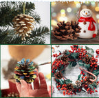 SBYURE 20 Pack 2.4 Inch Pinecones Bulk Package of Natural Pinecones Pine Cones for Crafts Home Decor Vase Filler