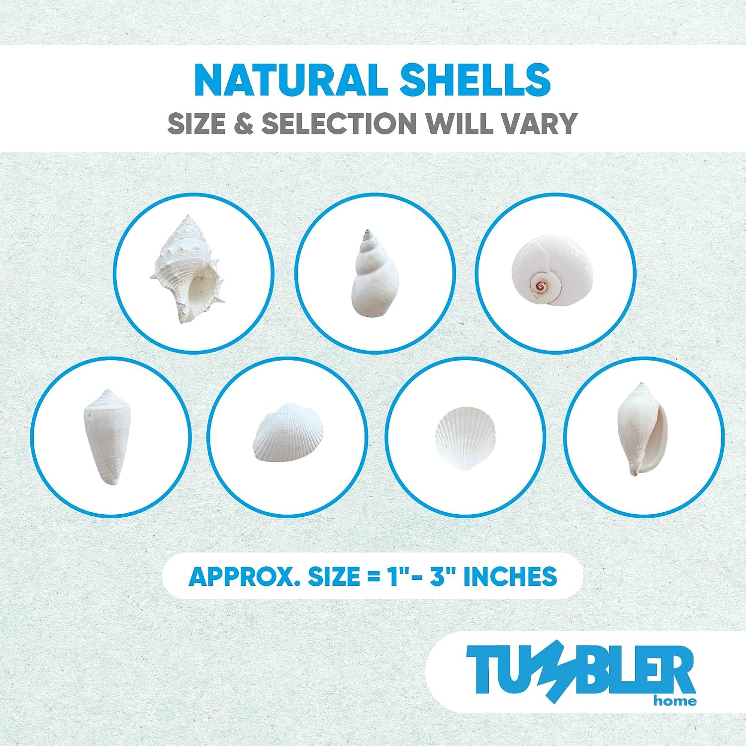 Tumbler Home White Sea Shell Mix with Aqua Sea Glass | Set Contains 1.5 lbs of Seashells and Seaglass | Beach Decor, Crafts, Wedding, Vase Filler