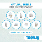 Tumbler Home Mix of White Seashells - Set Includes 1 Pound White Shells up to 3 inches - Home Decor, Vase Filler, Wedding Centerpiece, Christmas, Craft, Candle Making-Sea Shell Mix