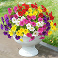 20 Bundles Artificial Flowers for Outdoors, Fake Flower UV Resistant Silk Morning Glory Petunias Eucalyptus Faux Plants for Outside Planter Vase Garden Yard Porch Window Home Decor, Multicolor