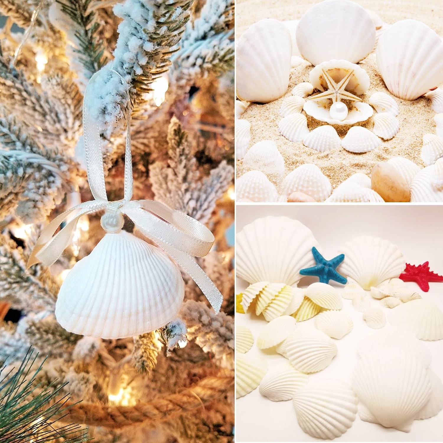 60 PCS Scallop Shells Natural Seashell, 1.5" to 2" White Scallop Shells Small Seashells for Crafts Wedding Decor Beach Theme Party, Fish Tank and Vase Filler