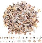 JQAQJU 1000 PCS Mini Sea Shells Small Starfish Mixed, 20 Kinds of Tiny Seashells Bulk for Crafting, Beach Natural Spiral Conch Shells for Crafts DIY Beach Theme Party Candle Decor Wedding Fish Tank