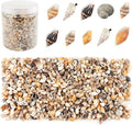 2000 Pcs Tiny Sea Shells for Crafting,Mixed Ocean Beach Mini Seashells Bulk for Home Decorations,Beach Theme Party, Small Shells for Craft, Wedding Decor, Fish Tank Vase Filler(5-12 mm)