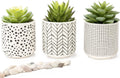 Kurrajong Farmhouse Artificial Succulents in pots | Set of 3 Black and White pots with Faux Succulents | Faux Plants Indoor | Fake Plants for Desk Decor | 4.75" high