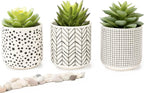 Kurrajong Farmhouse Artificial Succulents in pots | Set of 3 Black and White pots with Faux Succulents | Faux Plants Indoor | Fake Plants for Desk Decor | 4.75" high