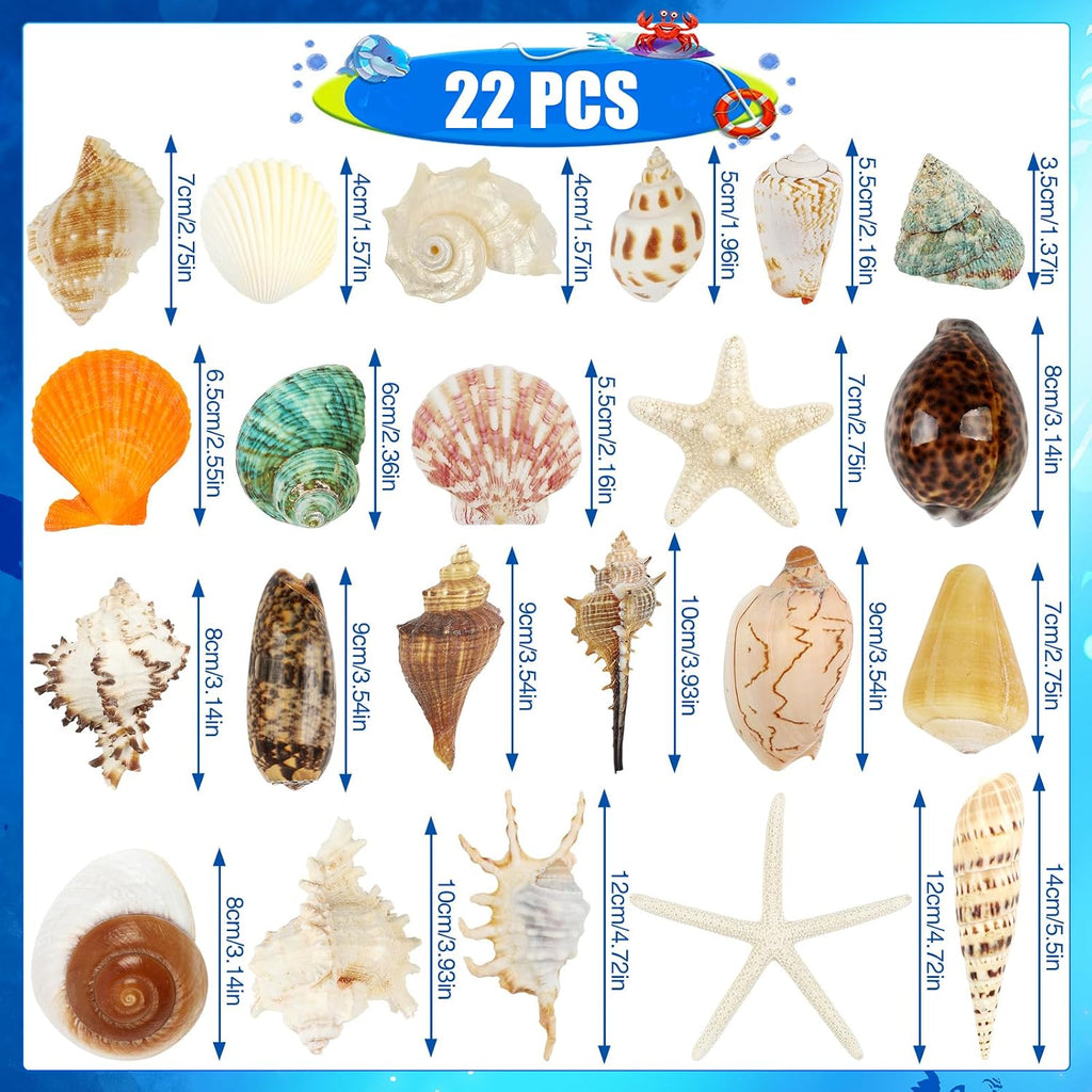 22 PCS Large Seashells Mixed Beach Sea Shells and Ocean Natural Starfish,Natural Colorful Sea Shells Starfish Up to 6.5 Inch, Perfect for Beach Theme Party Home Decor DIY Crafts Fish Tank Decorations