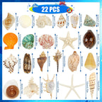 22 PCS Large Seashells Mixed Beach Sea Shells and Ocean Natural Starfish,Natural Colorful Sea Shells Starfish Up to 6.5 Inch, Perfect for Beach Theme Party Home Decor DIY Crafts Fish Tank Decorations