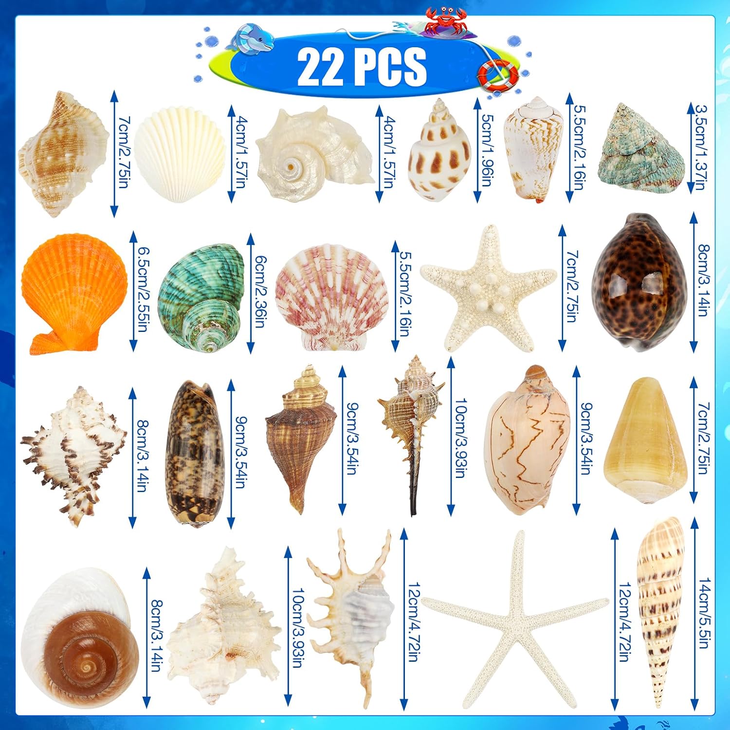 22 PCS Large Seashells Mixed Beach Sea Shells and Ocean Natural Starfish,Natural Colorful Sea Shells Starfish Up to 6.5 Inch, Perfect for Beach Theme Party Home Decor DIY Crafts Fish Tank Decorations