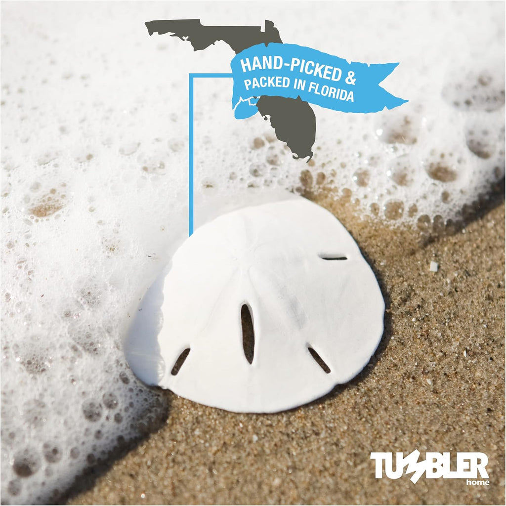 Tumbler Home Real Sand Dollars 2.5"-3" (10pcs), Wedding Seashell Craft, Hand Picked and Professionally Packed