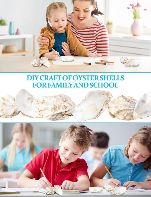 10Pcs Extra Large Oyster Shells for Crafts （ 5"-6"）, Oyster Shell for Crafting、Painting、Wedding、Christmas、Beach Theme Decor， and Clean、Odor-Free Sea Shells for Crafting