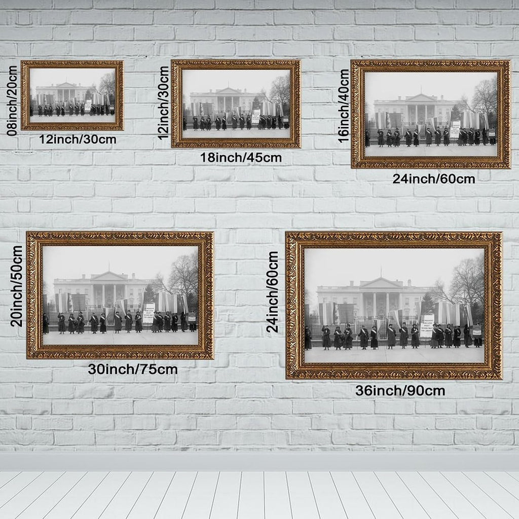 Women's Suffrage Voting Rights Protest At The White House Poster Posters Prints Canvas Deco Paintings Vintage Wall Art For Offices Living Rooms And Bedrooms Hanging Frame 12" L X 18" W