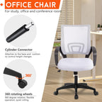 PayLessHere Home Office Chair Desk Computer Chair Adjustable Ergonomic Chair Lumbar Support Armrest Executive with High Density Mesh 360 Degree Swivel Chair for Adults Chair (Pack of 1, Beige)