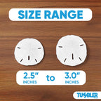 Tumbler Home Real Sand Dollars 2.5"-3" (10pcs), Wedding Seashell Craft, Hand Picked and Professionally Packed