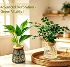 Plants Propagation Stations, Desktop Propagation Vase for Living Room, Bedroom, Wedding, Best Gifts for Plant Lovers, Clear