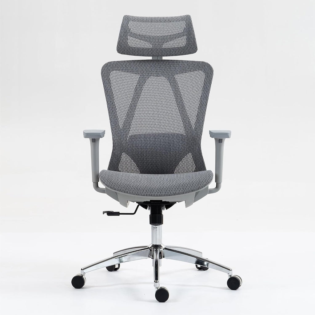 Ergonomic High Back Mesh Office Chair with Adjustable Lumbar Support and Headrest for Comfortable Workdays - Breathable, 3D Armrests, Reclining Seat - Ideal for Home and Office,Grey