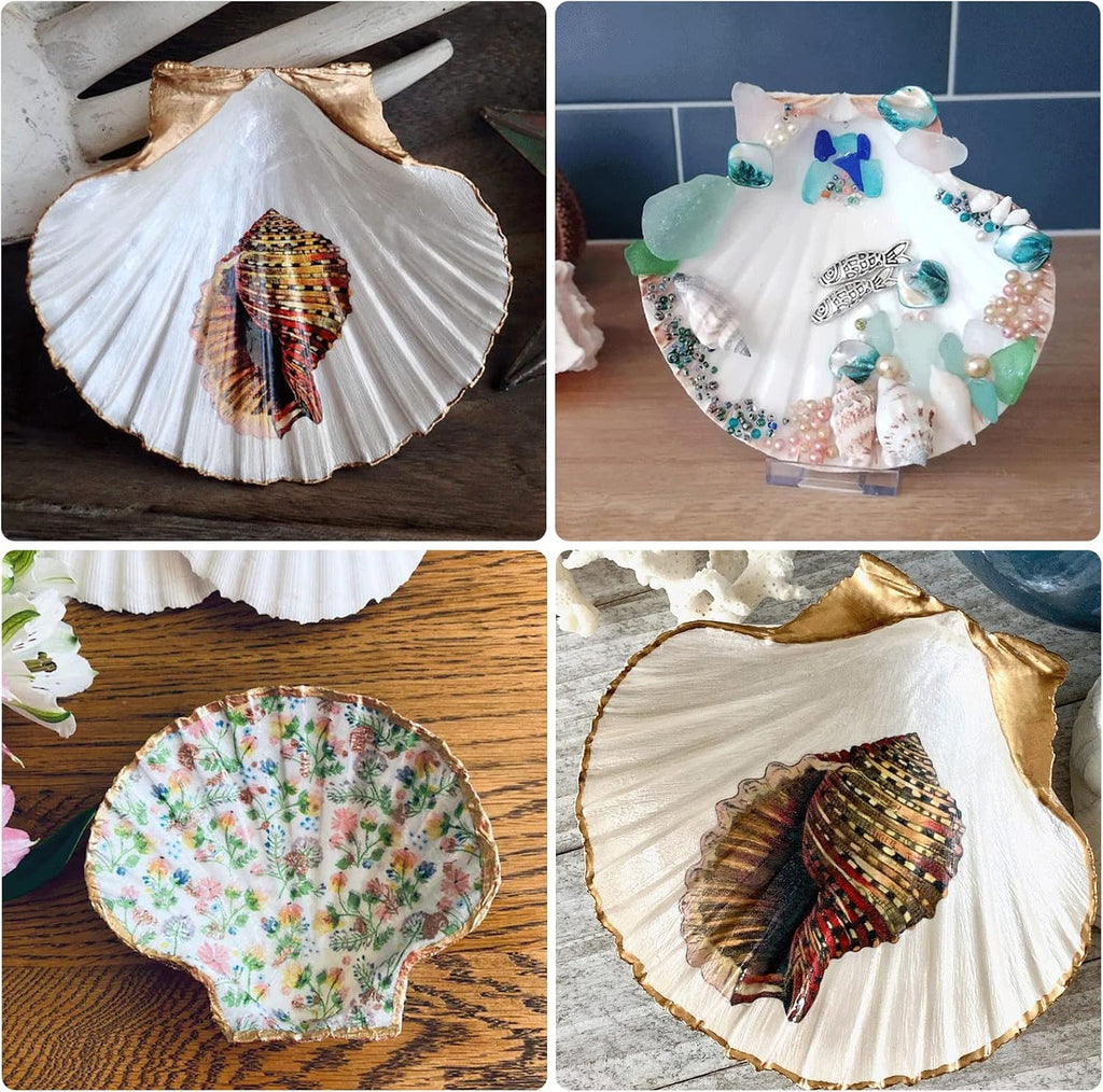 LUCKY BABY 4"-5" Scallop Shells for Crafts, 10 PCS Large Seashells for Decorating, White Natural Shells for Decoration