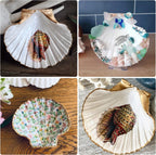 LUCKY BABY 4"-5" Scallop Shells for Crafts, 10 PCS Large Seashells for Decorating, White Natural Shells for Decoration