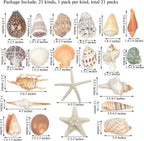 Jangostor 21 PCS Large Sea Shells Mixed Ocean Seashells, Various Sizes Natural Seashells Starfish Conch for Beach Theme Party, Home Decorations, DIY Crafts, Vase Filler Fish Tank Decorations