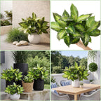 Hotop Variegated Hosta Artificial Plant for Summer Outdoor Decoration Faux Green Dieffenbachia Plant Lifelike Tropical Houseplant Bush Stems for Home Office Indoor Yard Planter Filler(12 Pack)