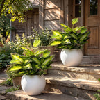 Hotop Variegated Hosta Artificial Plant for Summer Outdoor Decoration Faux Green Dieffenbachia Plant Lifelike Tropical Houseplant Bush Stems for Home Office Indoor Yard Planter Filler(12 Pack)