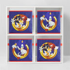 Sonic the Hedgehog Set of 2 Durable Storage Cubes with Handles, 10"x10"x10" Cubes