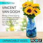 MODGY Collapsible and Expandable Plastic Flower Vase, Unbreakable, Foldable, Decorative Modern Centerpieces, Table Decorations, Van Gogh Starry Night, 1 Pack