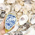 ZYNERY 30PCS Natural Oyster Shells for Crafts, 5"-6" Large Gray Seashells Bulk for DIY Ornaments, Decoupage, Shell Painting, Vase Filler, Beach Decor & Ocean Theme Parties