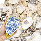 ZYNERY 30PCS Natural Oyster Shells for Crafts, 5"-6" Large Gray Seashells Bulk for DIY Ornaments, Decoupage, Shell Painting, Vase Filler, Beach Decor & Ocean Theme Parties