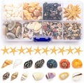 Premium Tiny Seashell Mix, Including Sea Shells, Sea Snails and Starfish total 300+PCS (8 Kinds), Shells for Crafts Decorating Resin and Mosaics Projects DIY Crafts Home Decor Beach Themed Party