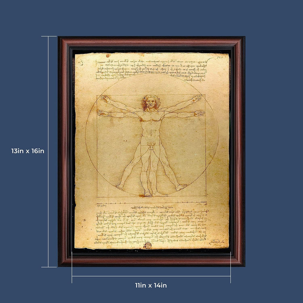 The Vitruvian Man Leonardo Da Vinci, World Famous Wall Art Collection, Fine Art Drawing, Framed Medical Posters for Your Medical Office Decor, Proportions of The Human Figure Drawing, 2453W