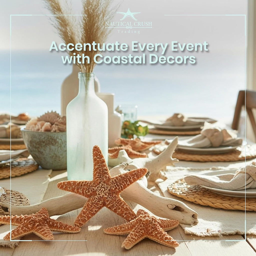Real Starfish - 2 Large Brown Sugar Starfish (4-6in) - Starfish for Crafts - Star Fish Shells Decorations - Starfish Decor - Sea Star - Starfish Decorations - Starfish Shells