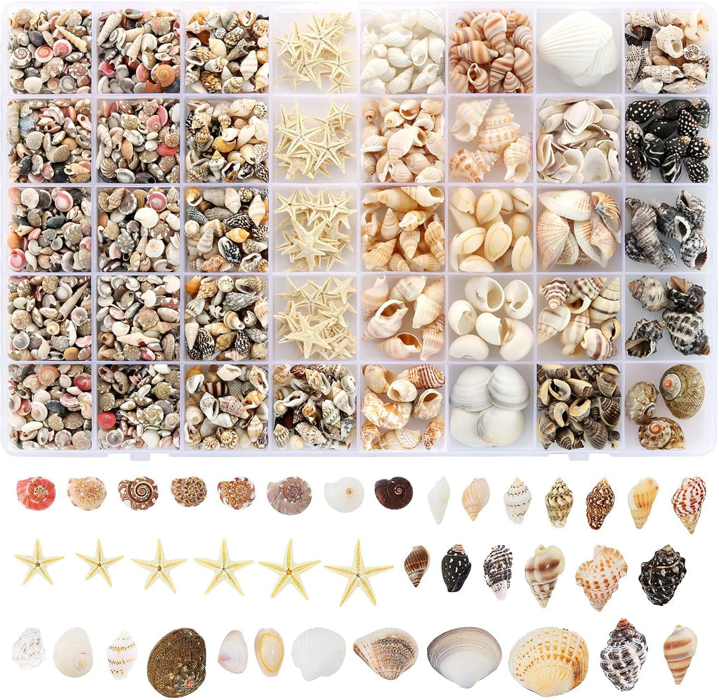 Zefy 23 Types Small Sea Shells for Crafts, 1200 Pcs Tiny Seashells with Mixed Size Starfish, Mini Shells for Vase Filler Beach Theme Party Home Decor