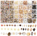 Zefy 23 Types Small Sea Shells for Crafts, 1200 Pcs Tiny Seashells with Mixed Size Starfish, Mini Shells for Vase Filler Beach Theme Party Home Decor