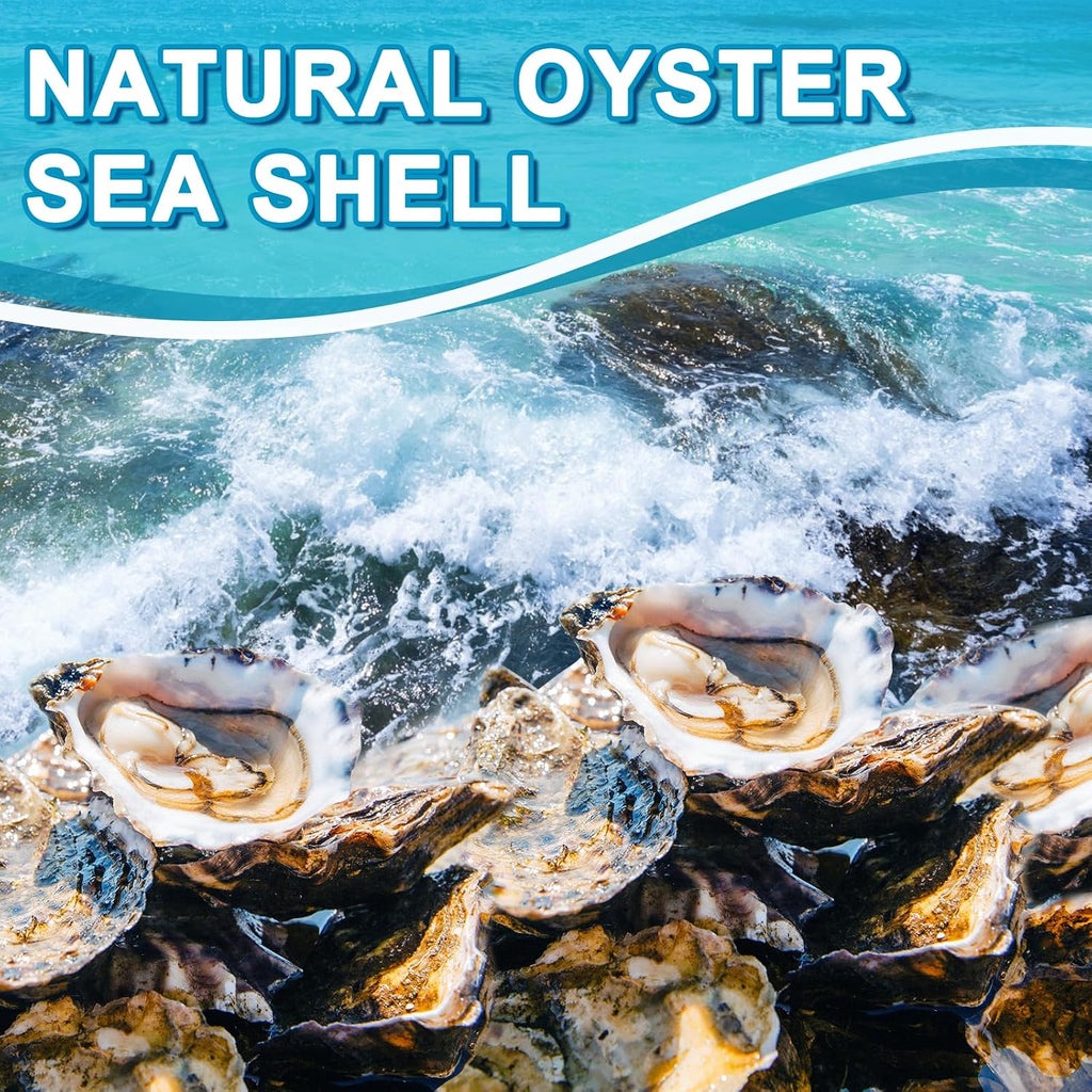 15PCS Oyster Shells 5"-6" Concave Oyster Shells for Crafts Natural Oyster Shells Bulk, for Home Vase Filler, Xmas Ornaments, DIY Arts and Crafts Sea Shells