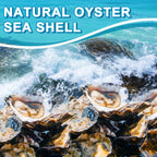 15PCS Oyster Shells 5"-6" Concave Oyster Shells for Crafts Natural Oyster Shells Bulk, for Home Vase Filler, Xmas Ornaments, DIY Arts and Crafts Sea Shells