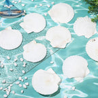 GlikCeil 50 Pcs Sea Shell for Crafting Natural Large Scallop White Oyster Shells Bulk for Decorating DIY Home Decor Beach Wedding Ocean Themed Party(3.5''-3.9'')