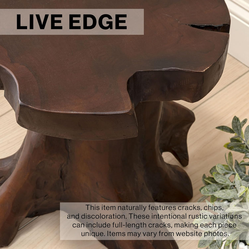 JONATHAN Y Amara Handcrafted Solid Teak Wood Live Edge Tree Stump Stool, 16" Rustic Accent Side Table and Decorative Indoor Plant Stand, Dark Brown STL3000B