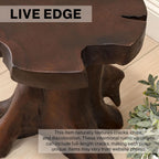 JONATHAN Y Amara Handcrafted Solid Teak Wood Live Edge Tree Stump Stool, 16" Rustic Accent Side Table and Decorative Indoor Plant Stand, Dark Brown STL3000B