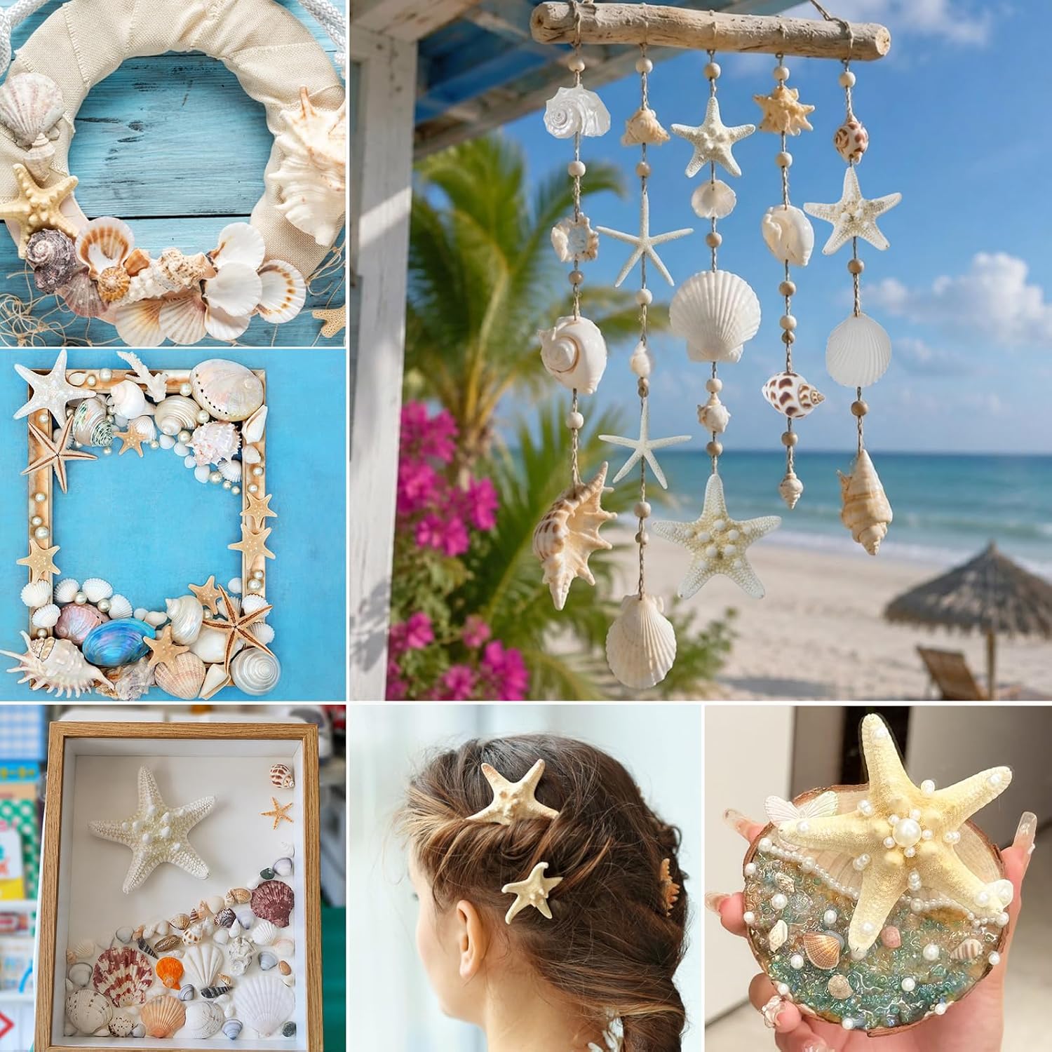 JQAQJU Sea Shells Mixed Ocean Seashells 20 Kinds, Starfish Seashells for Crafts, Various Sizes Natural Conch Sea Shells for Decorating, DIY Crafts, Vase Filler, Beach Party, Fish Tank, Home Wedding