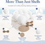 Cizavanta 50 Pack Large Scallop Shells for Crafts, 4-5 Inch Natural White Scallop Shells with 25 Clear Display Stands and Round Craft Mat, Seashells for DIY Painting, Decoupage & Coastal Decor