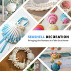 30PCS Natural White Scallop Shells, 2.5-3 Inch Seashells for Craft, Beach Decor, Candle Holder, Home Decorations, Air Plant Holder, Succulent Planter, Fish Tank Ornaments, Wedding Party Supplies