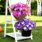 FULLMUSIC Spring Artificial Flowers for Outdoors, UV Resistant Fake Morning Glory, Look Real Faux Silk Plants for Front Door Garden Porch Planter