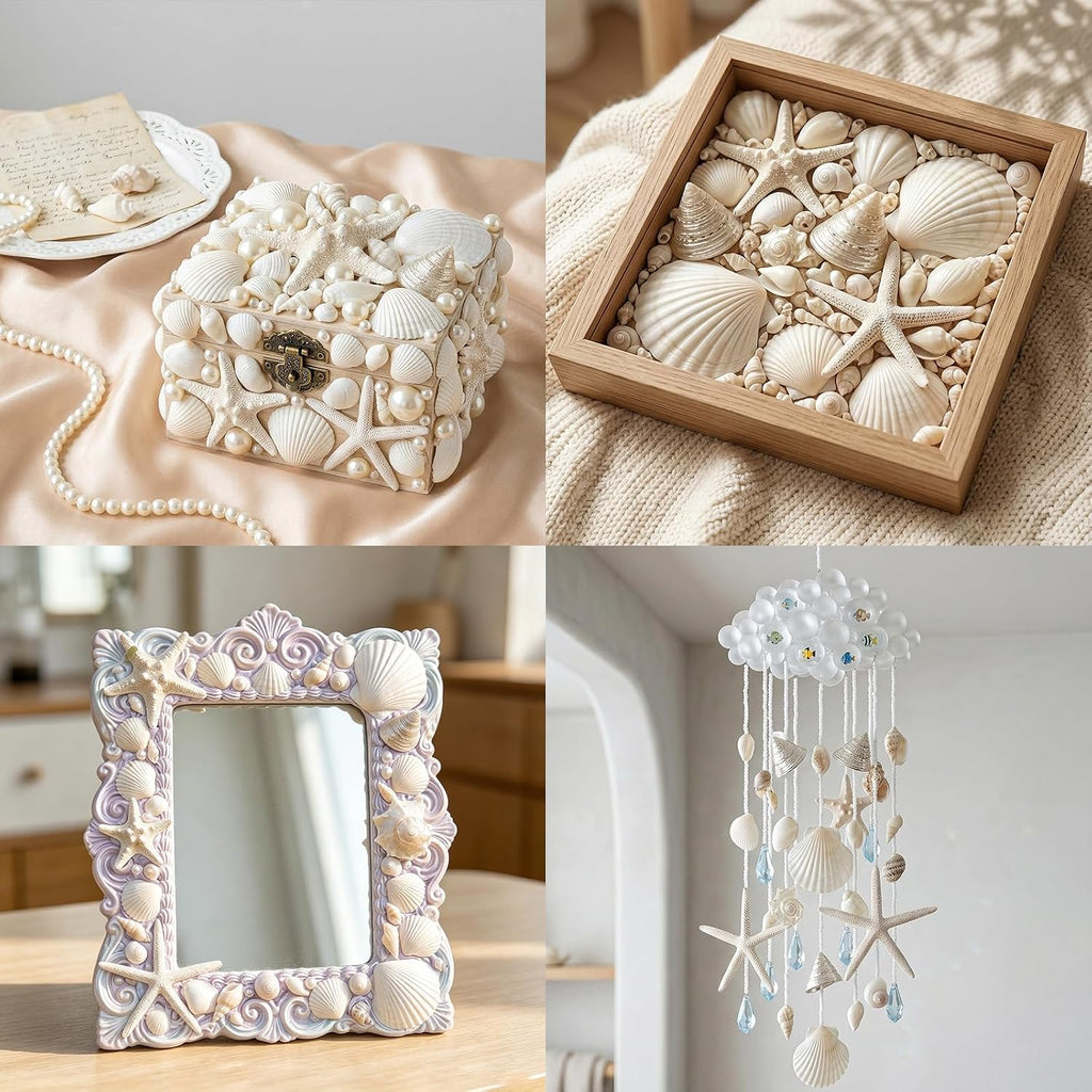 Fangoo 12 Kinds White Natural Beach Seashells Starfish Various Sizes Ocean Conchs Scallops Decorations for Nautical Themed Party DIY Craft Fish Tank Vase Fillers Home Wedding Decorations